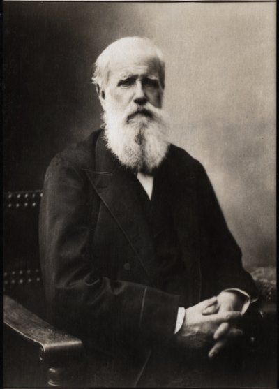 Portret van Dom Pedro II (Peter II) (1825-1891), Keizer van Brazilië door French Photographer